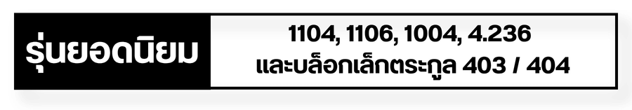 รุ่นยอดนิยมต่างๆ รุ่นยอดนิยมต่างๆ